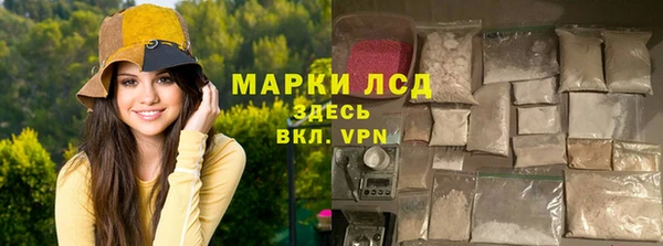 ПСИЛОЦИБИНОВЫЕ ГРИБЫ Кодинск