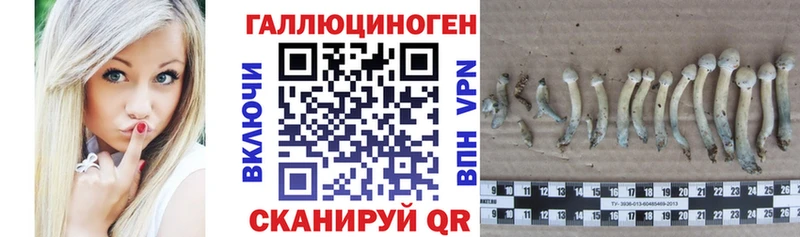 Галлюциногенные грибы прущие грибы  Лихославль 
